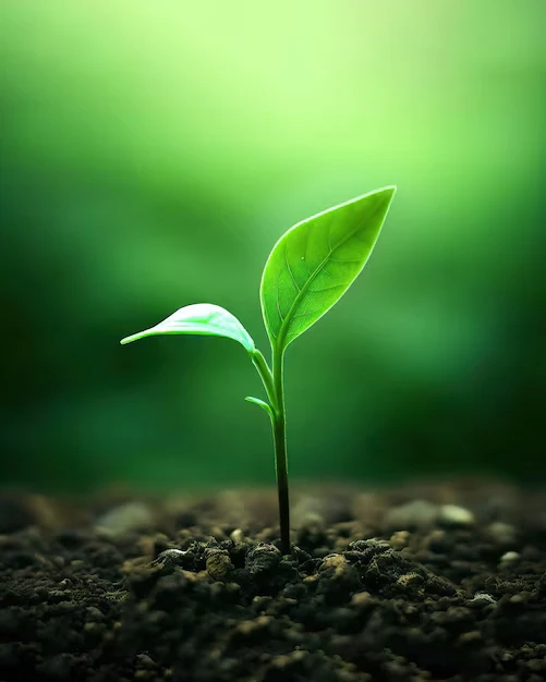 زكاتك لعائلتك يصرف هذا التبرع لمستحقي الزكاة من العائلة